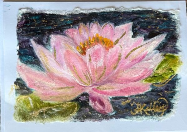 Pink Water Lily