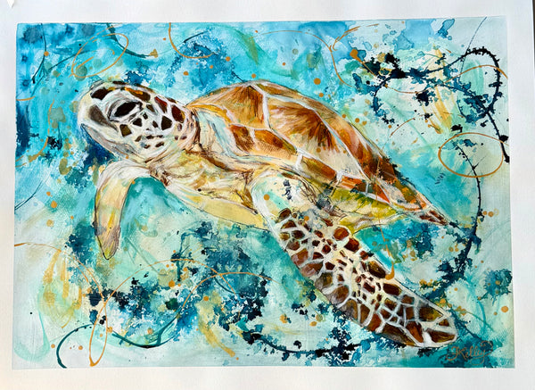 Loggerhead Sea Turtle