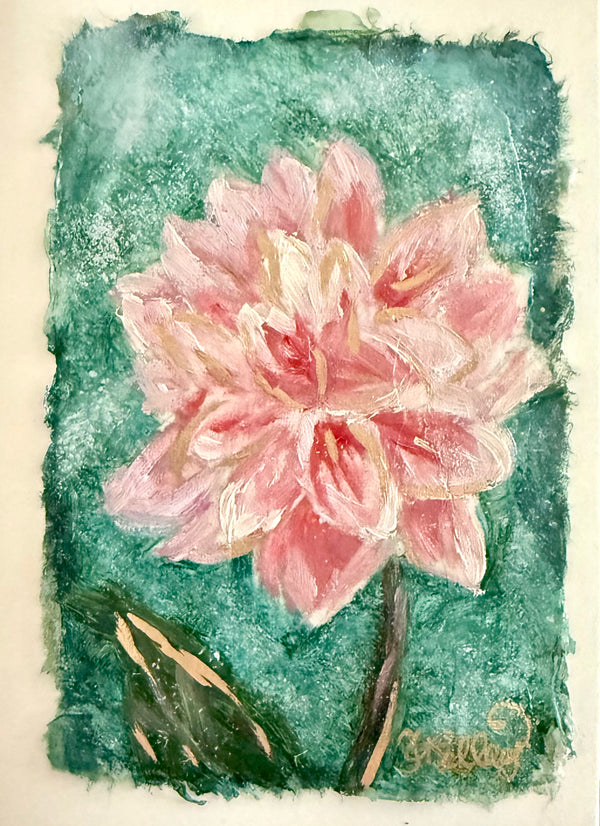 Pink Dahlia