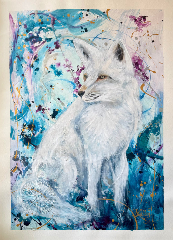 Arctic Fox