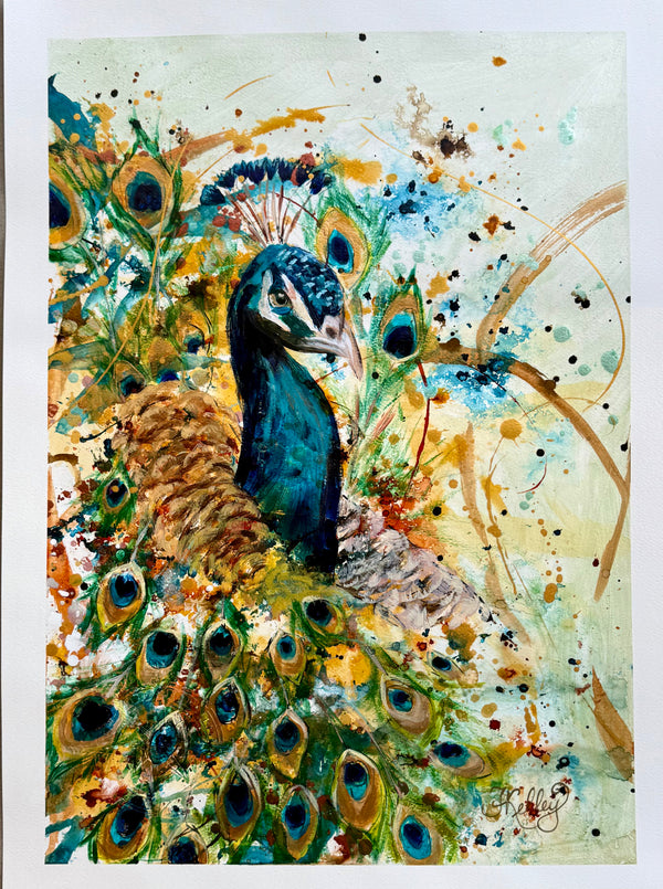 Peacock